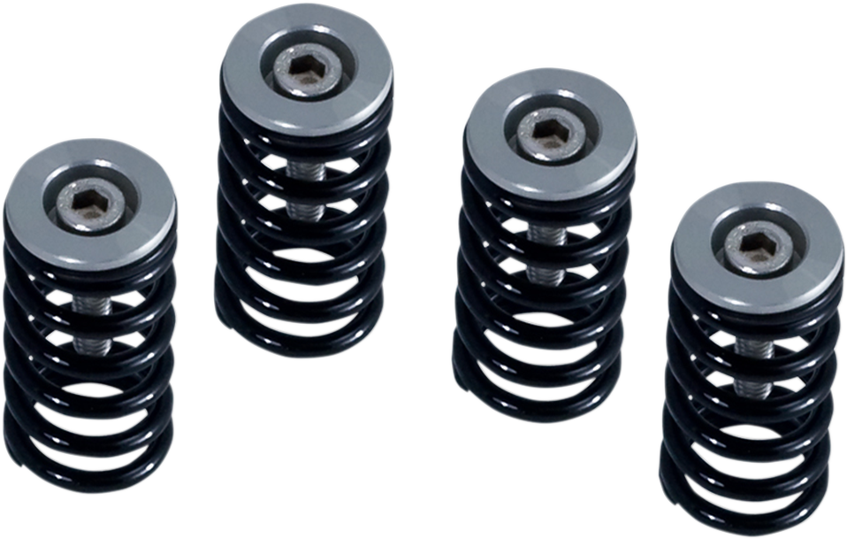 Kit molle frizione Barnett 519-25-06099 per Ducati