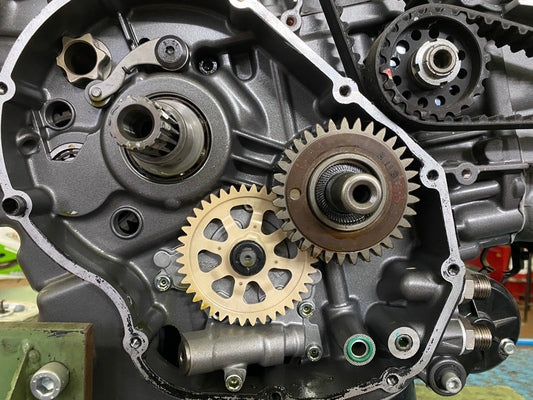 KIT TRASFORMAZIONE FRIZIONE DA BAGNO D'OLIO A FRIZIONE ANTISALTELLAMENTO A SECCO PER DUCATI MONSTER 821