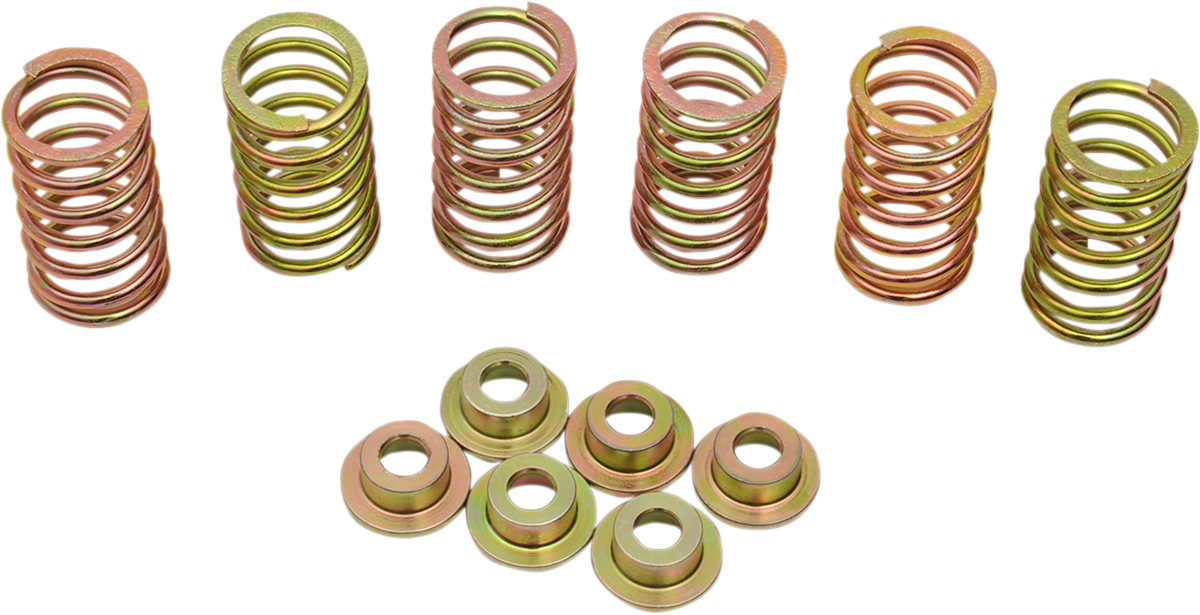 Kit molle frizione per Ducati