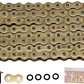 Catena DID 520 ERV7 GG 120 maglie CHAIN DID520ERV7 GG 120RH