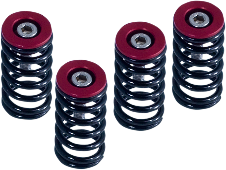 Kit molle frizione Barnett per Ducati 519-25-06098