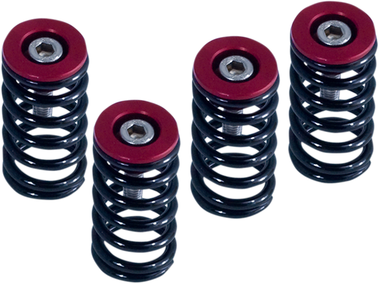 Kit molle frizione Barnett per Ducati 519-25-06098