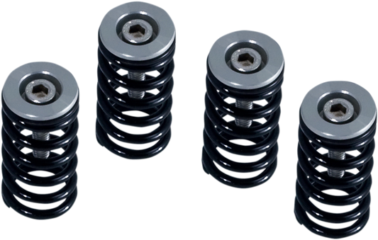 Kit molle frizione Barnett 519-25-06099 per Ducati